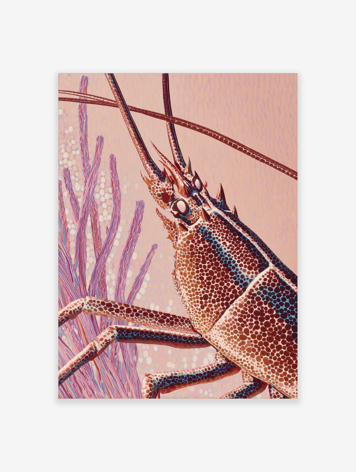 Spiny lobster with spotted shell and long antennae against pink coral background art print