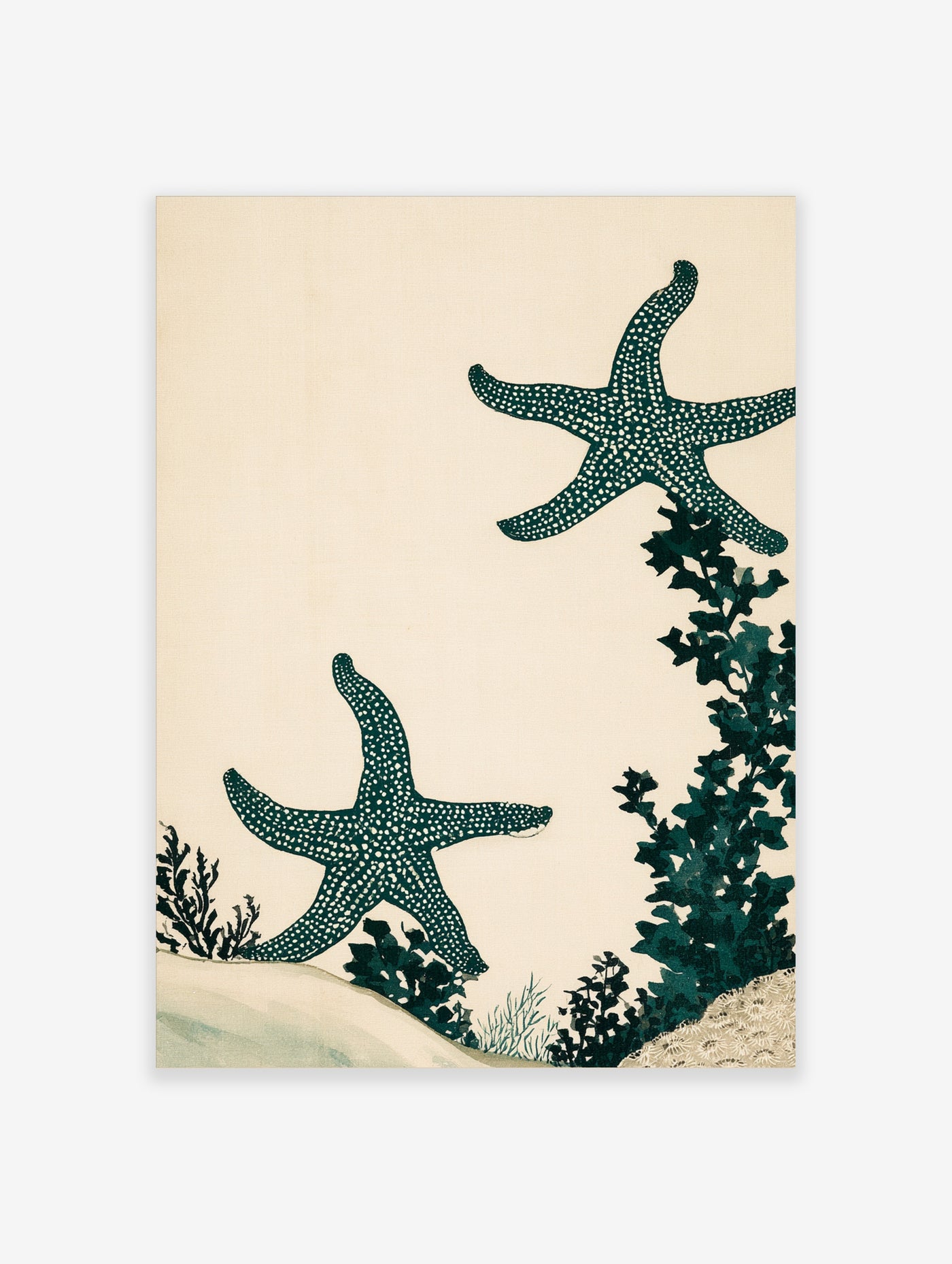 Japanese-style woodblock print of two teal starfish with white spots and seaweed on a cream background