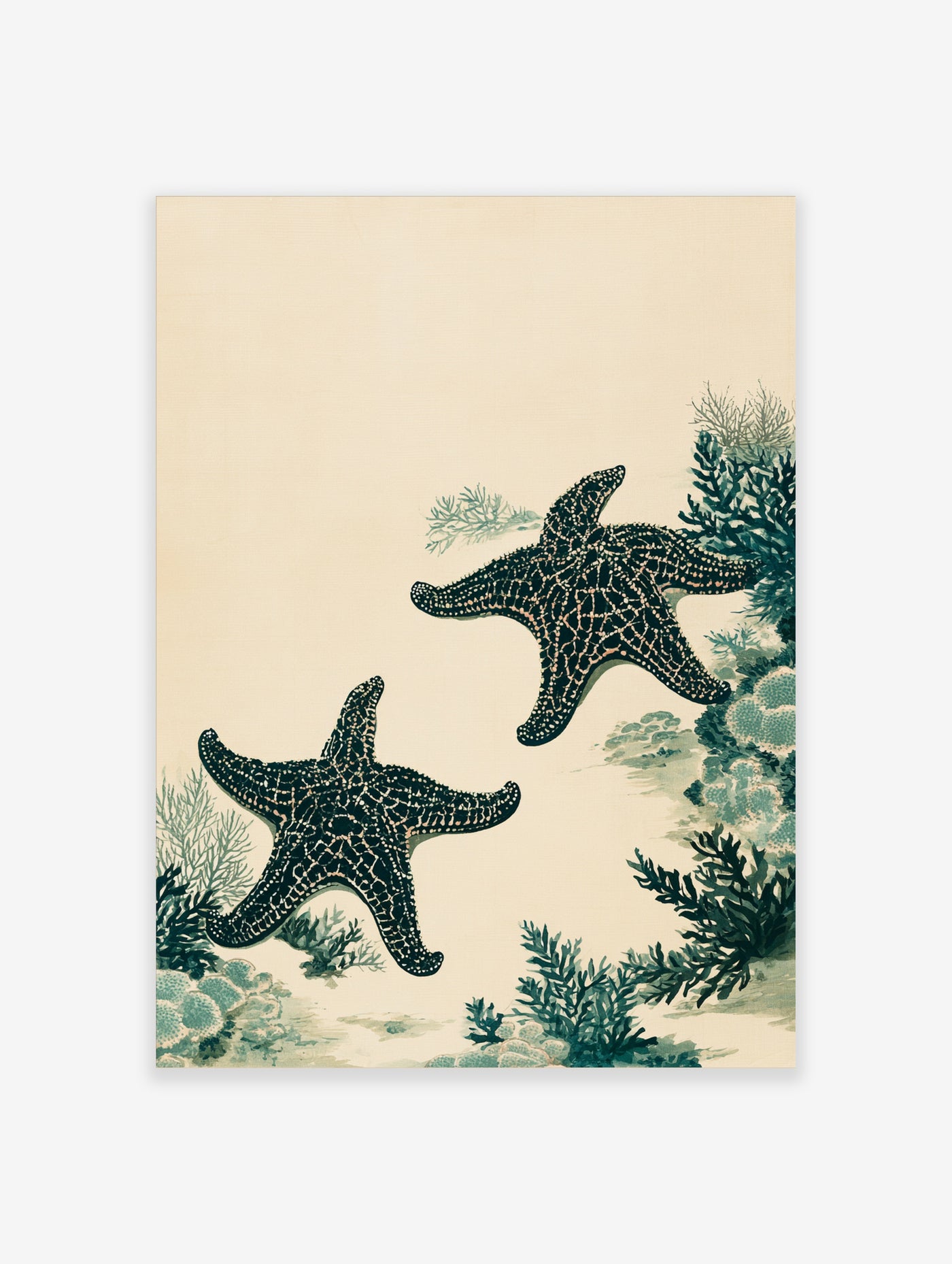 Detailed starfish botanical illustration in dark green on a light cream background, marine art print