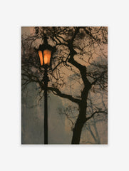 Street lamp at night with glowing light and dark tree branches against a muted sky