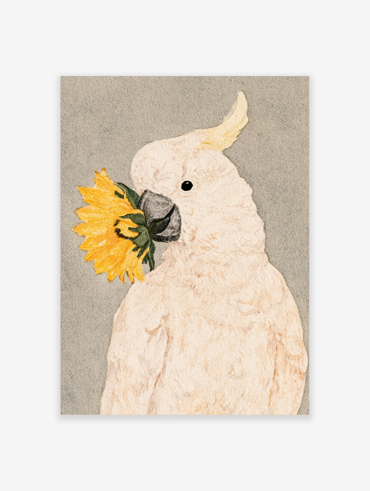 Sulphur-crested cockatoo holding a yellow sunflower, animal art print on grey background