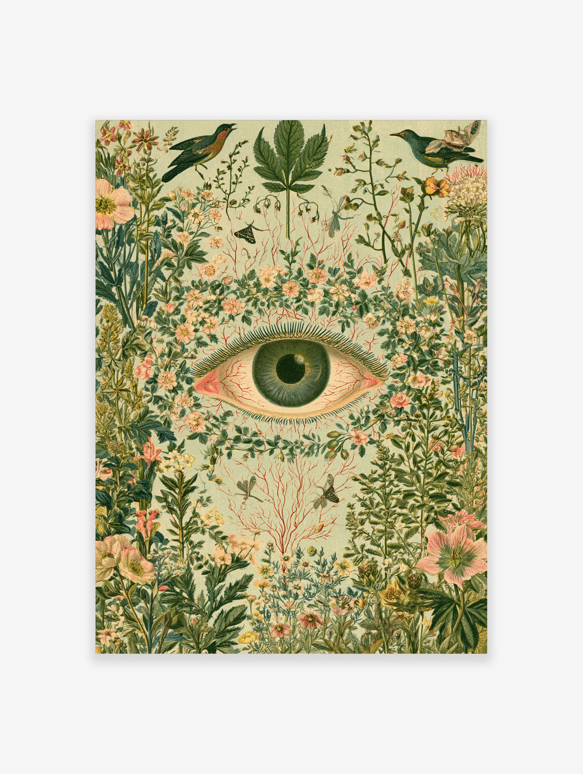 Surreal eye art print with green iris and red veins surrounded by botanical flowers and birds