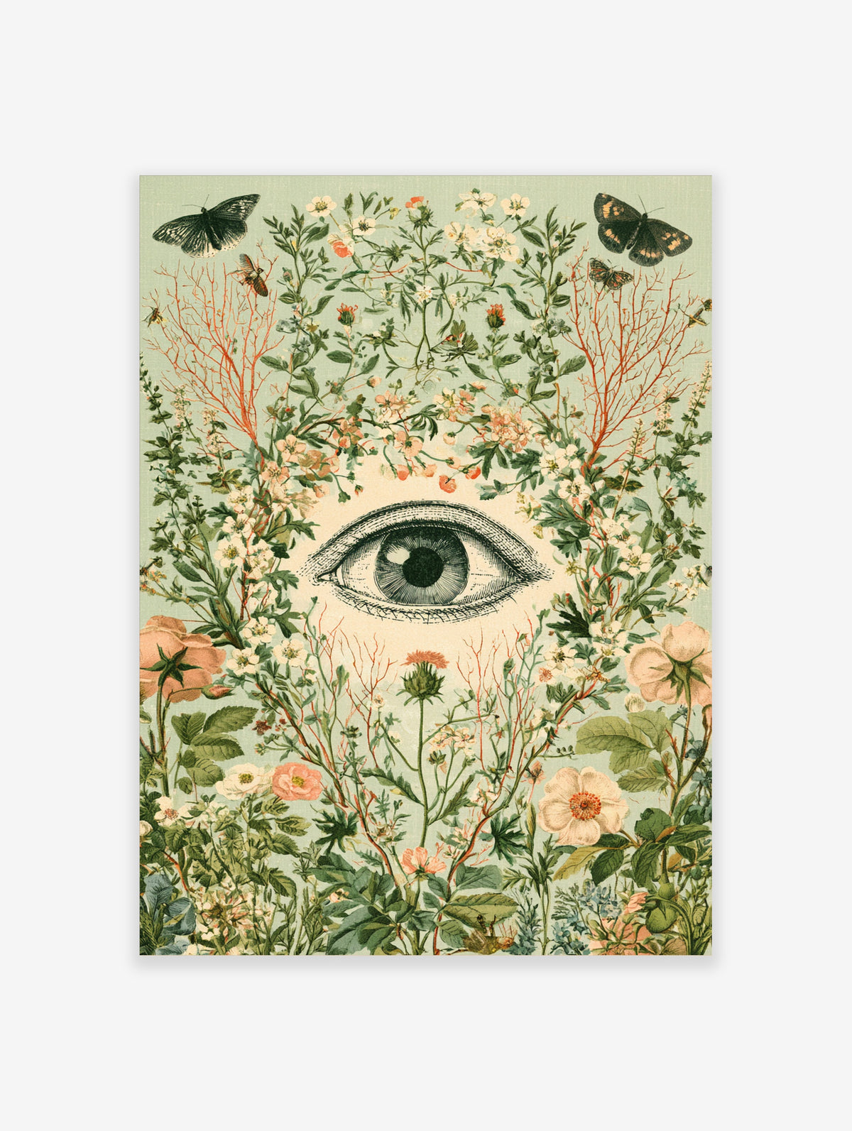 Surreal eye art print with botanical flowers, red branches, and butterflies on pale green background