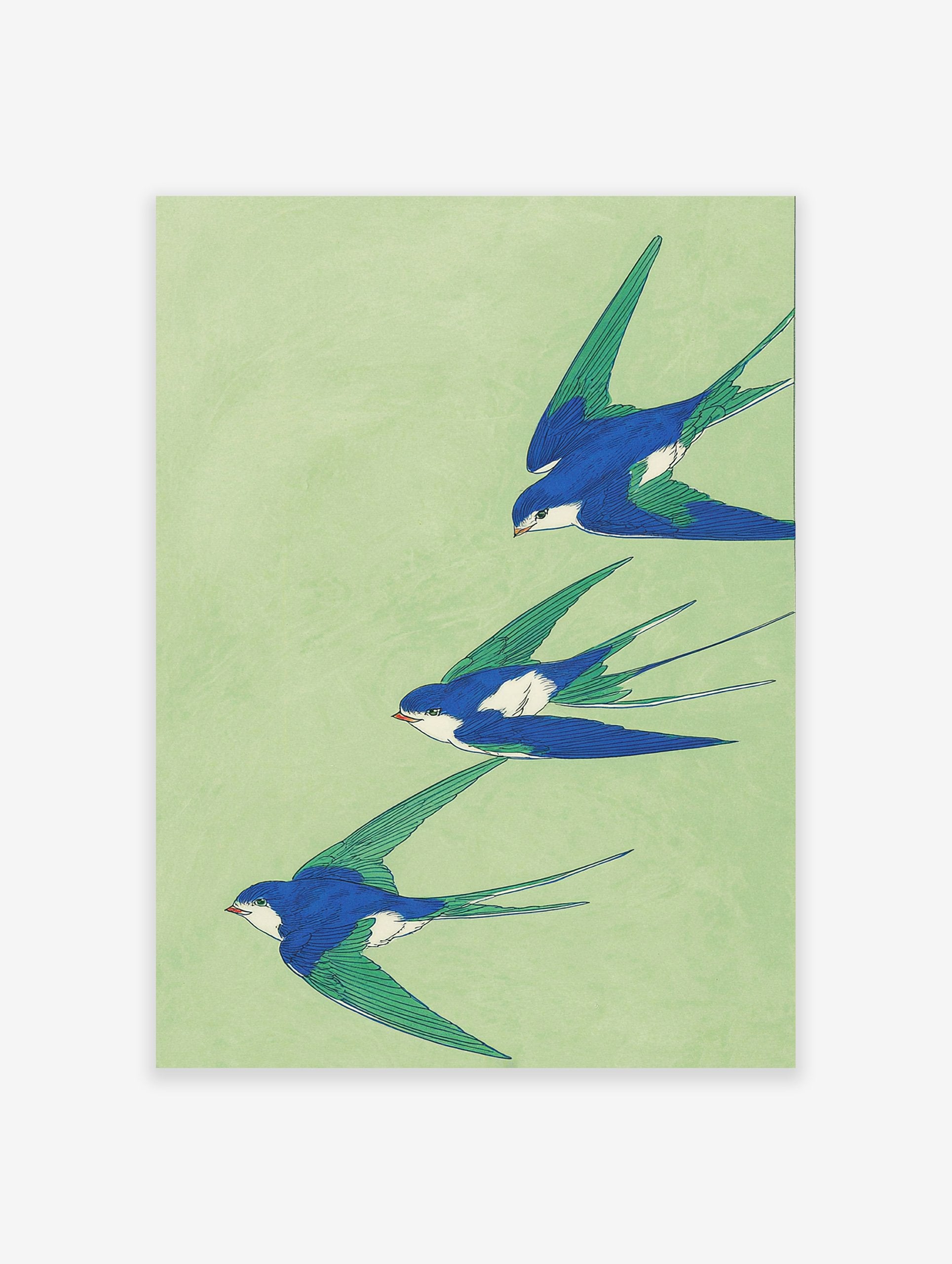 Three blue and green swallows in flight on a light green background, Japanese style swallow wall art print.