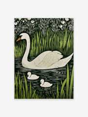 White swan and two cygnets swimming in dark water, surrounded by green reeds and white flowers, in an illustrative style