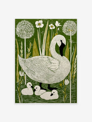 Illustrative linocut-style print of a white swan and three cygnets in a green pond with white flowers and reeds