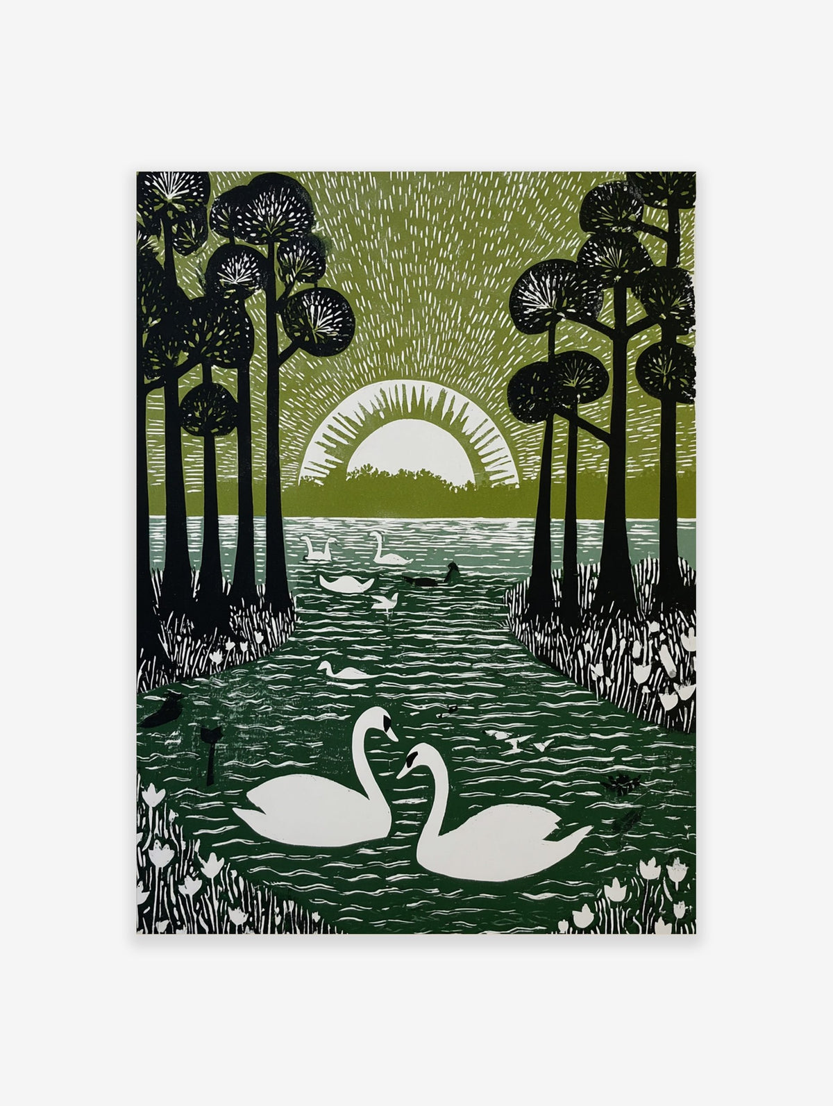 Linocut-style print of two white swans on a dark green lake, framed by tall black trees and a white rising sun