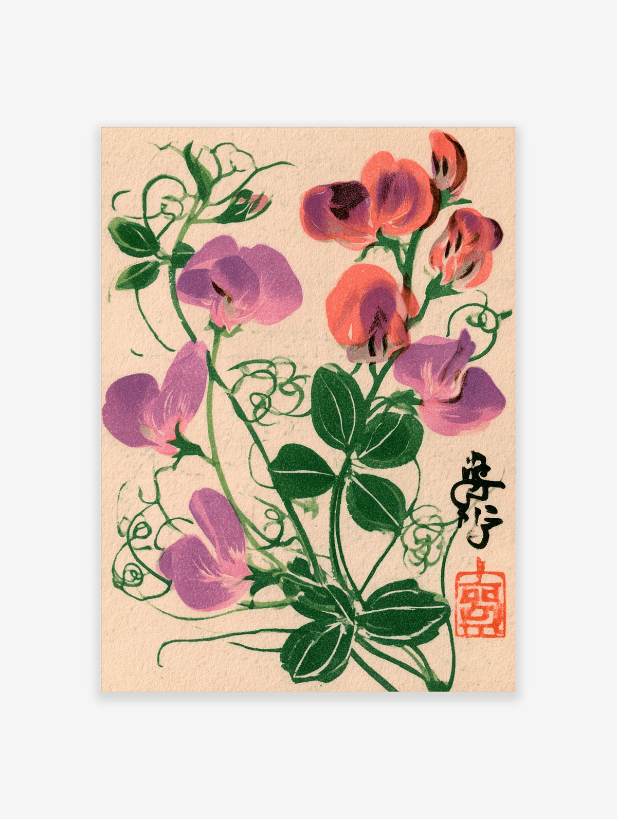Sweet pea flower botanical print with purple and pink blooms, green leaves, and tendrils on beige
