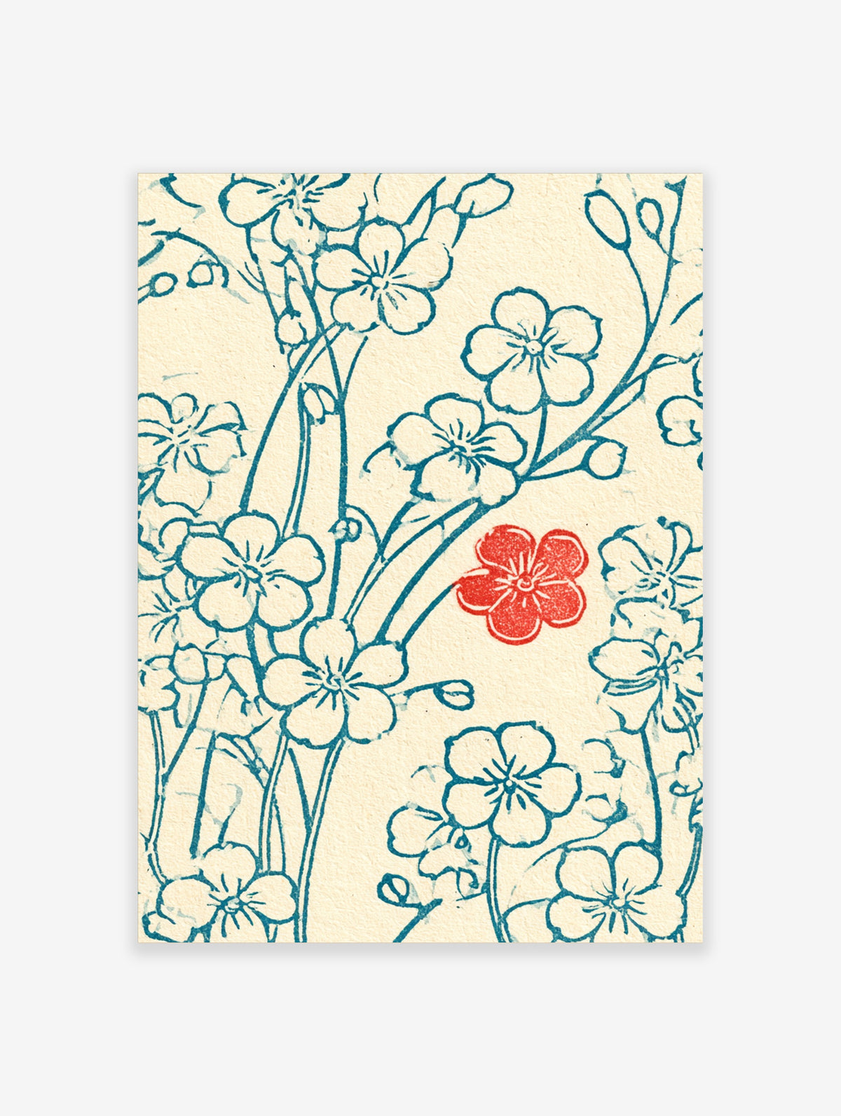 Teal cherry blossom outline floral art print with one red flower on cream background