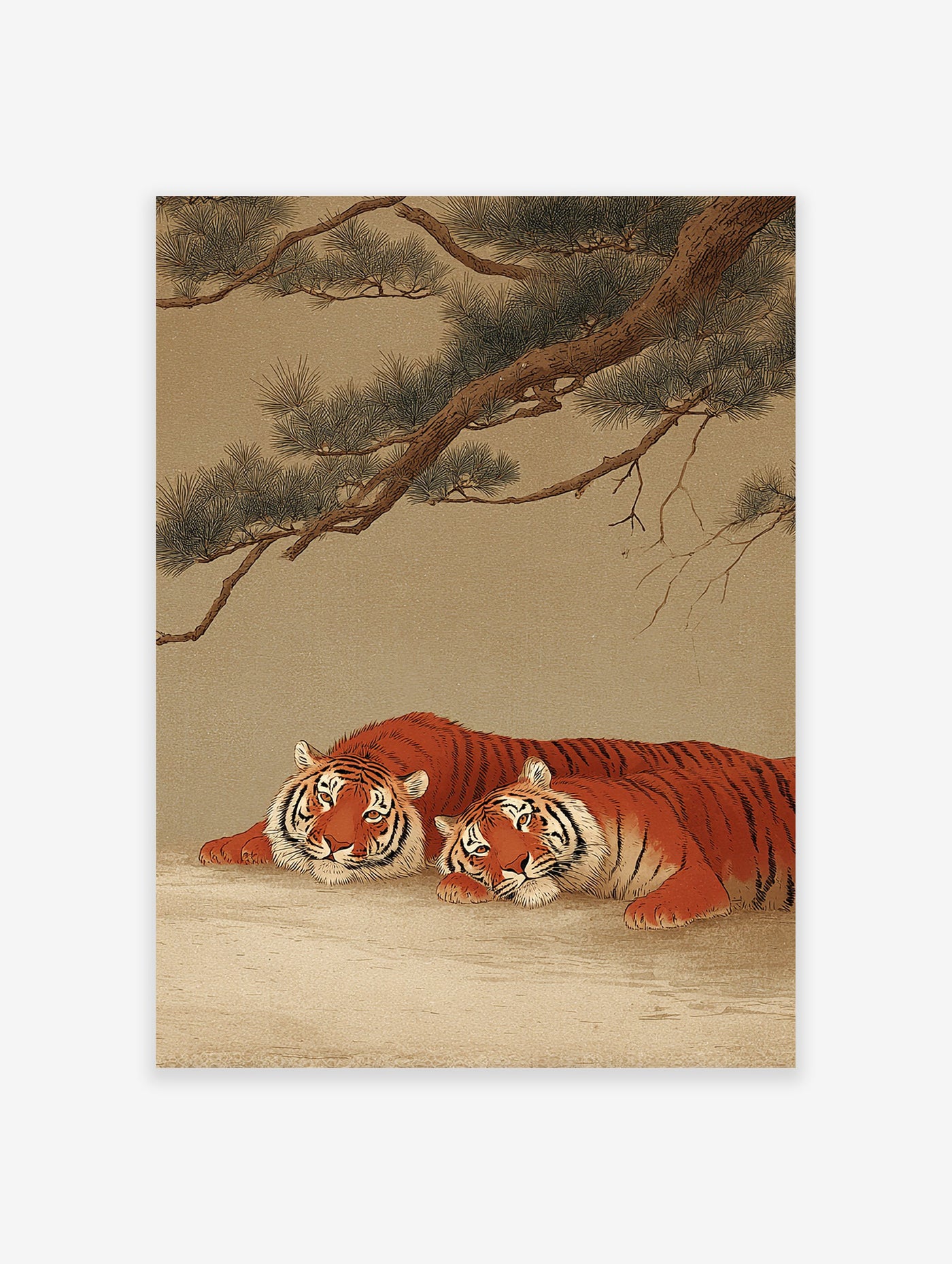 Two majestic orange and black striped tigers resting under a green pine tree, in a traditional Asian art style illustration.