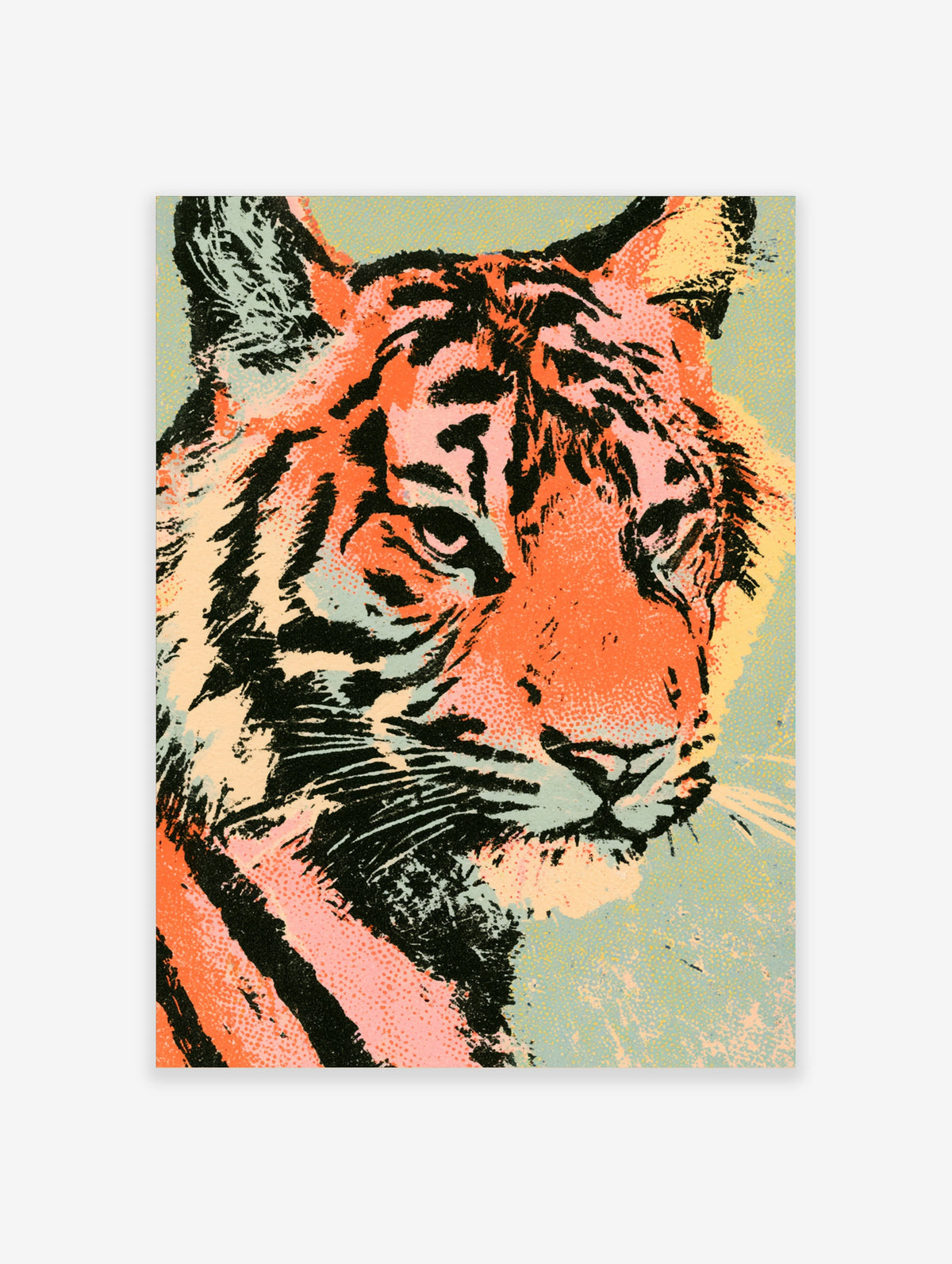 Close-up tiger portrait pop art print with black stripes and pink, orange, and blue colour blocks