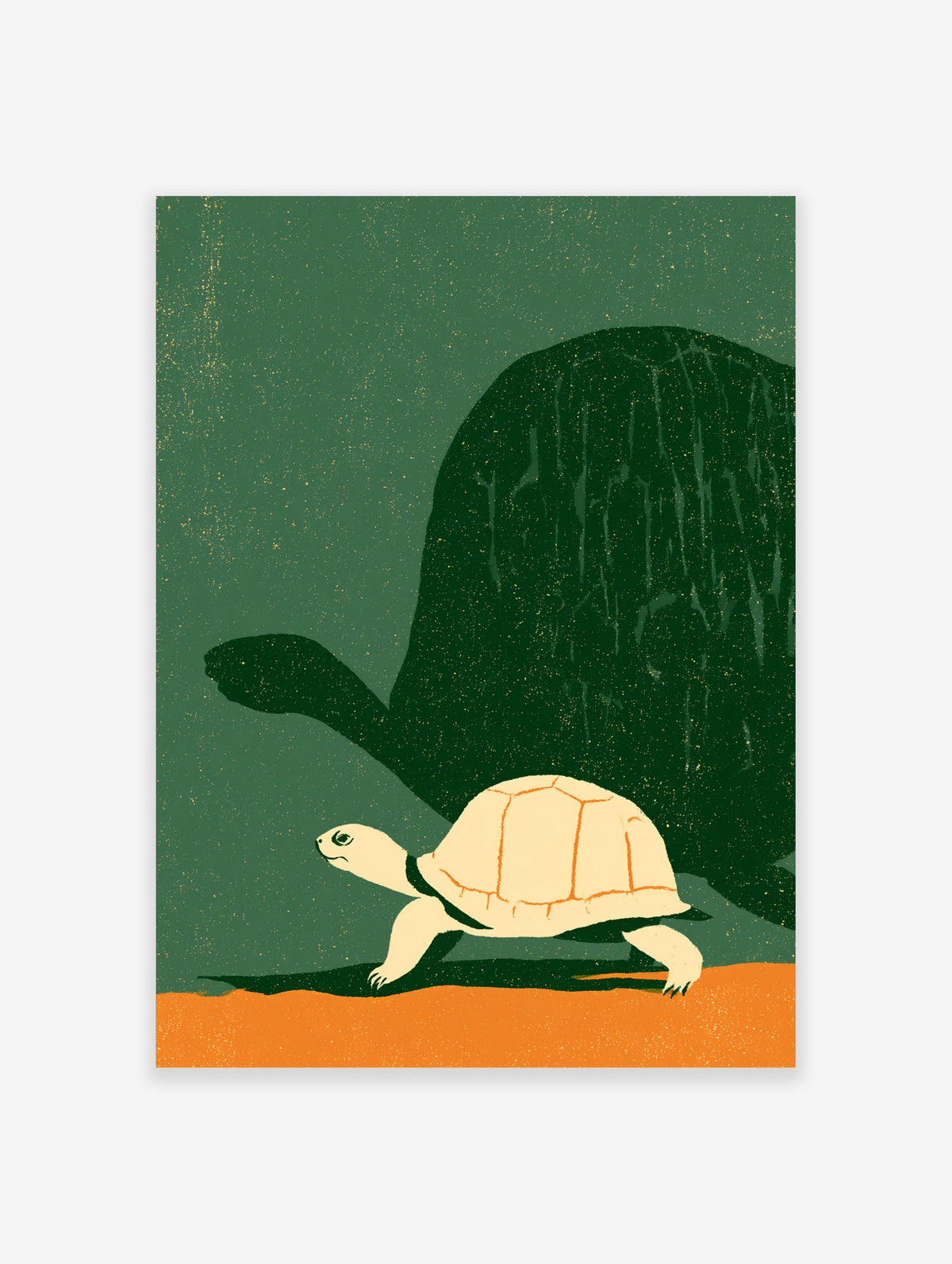 Tortoise art print with cream tortoise and large dark shadow on green background