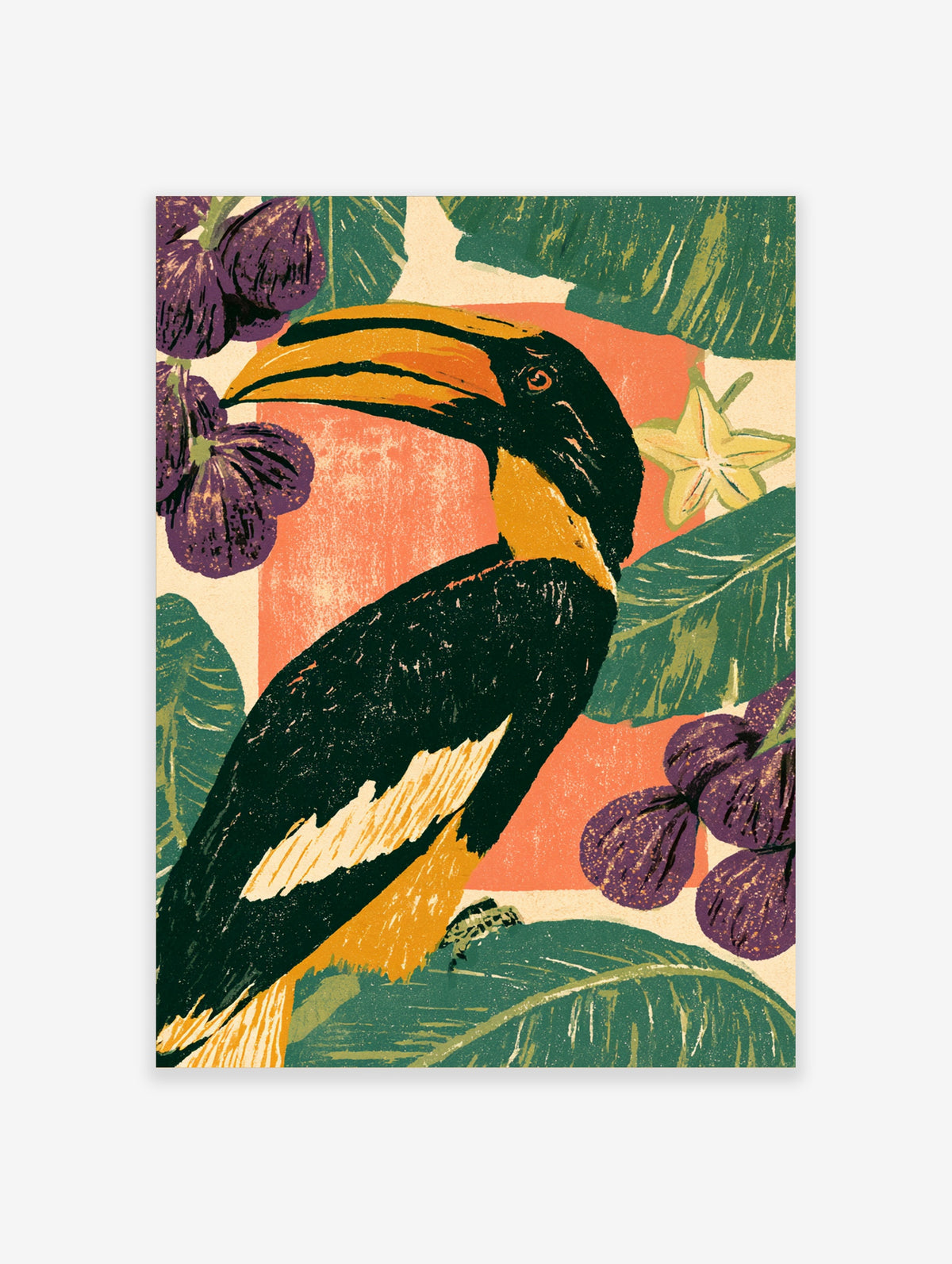 Toucan art print with yellow-orange bill, dark plumage, purple fruit, and green leaves on coral background