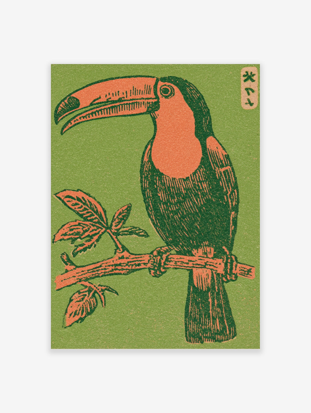 Toucan art print with orange bill and chest on a branch, green background, portrait illustration