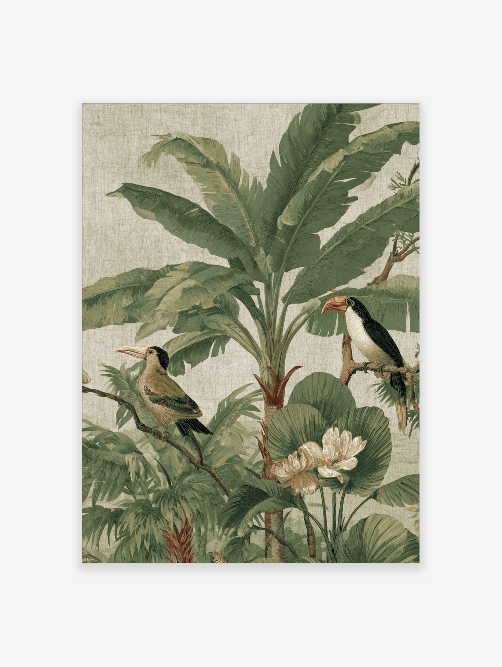 Tropical jungle illustration with a toucan, another bird, large banana leaves, and white flowers on a textured beige