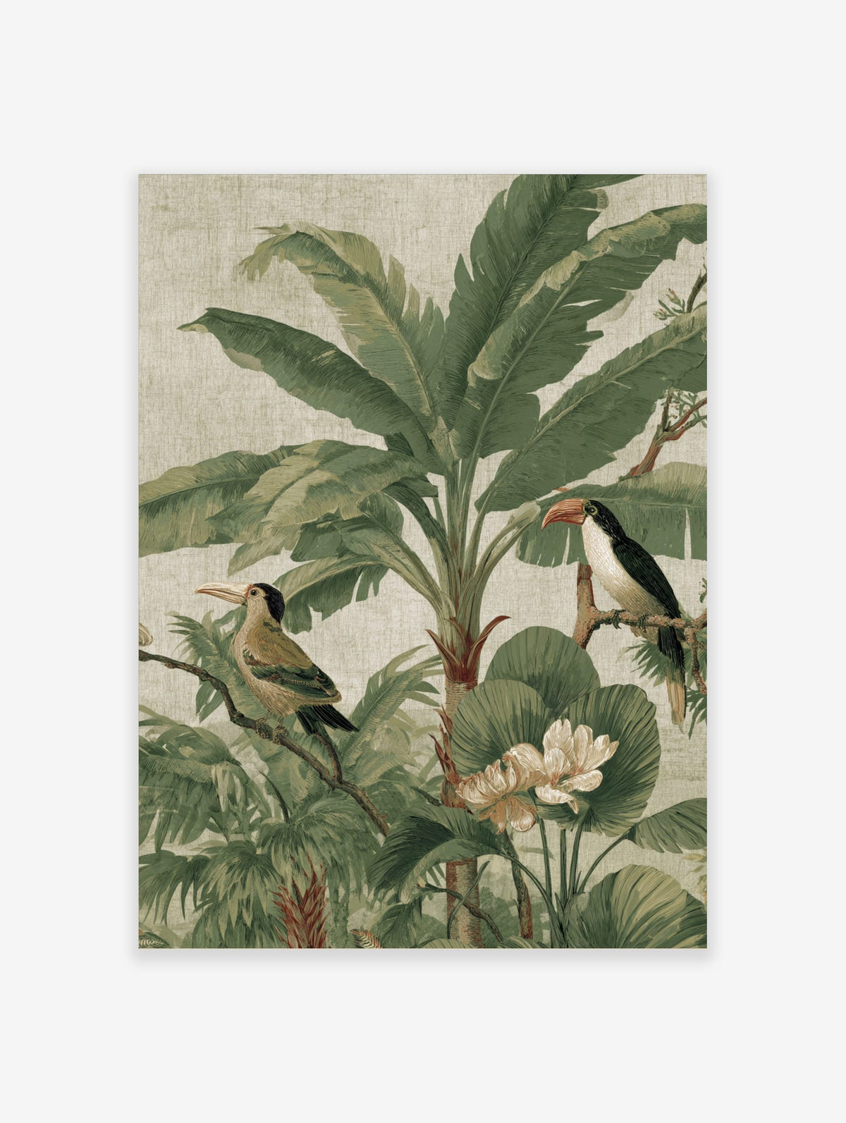 Tropical jungle illustration with a toucan, another bird, large banana leaves, and white flowers on a textured beige