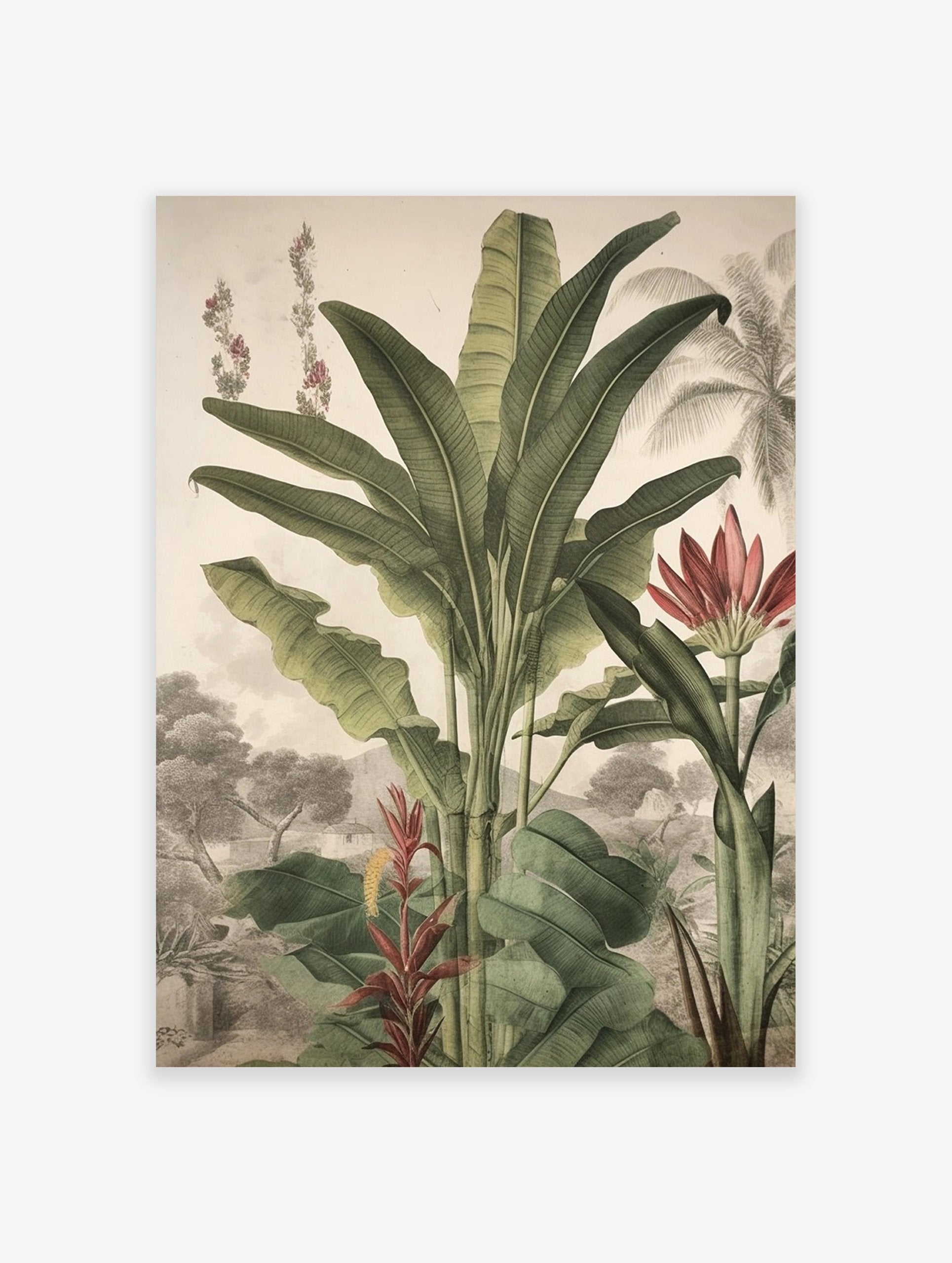 Tropical botanical poster featuring large green banana plants, red flowers, and a detailed vintage landscape illustration.