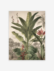 Tropical botanical poster featuring large green banana plants, red flowers, and a detailed vintage landscape illustration.