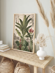 Tropical botanical poster featuring large green banana plants, red flowers, and a detailed vintage landscape illustration. - Image 4