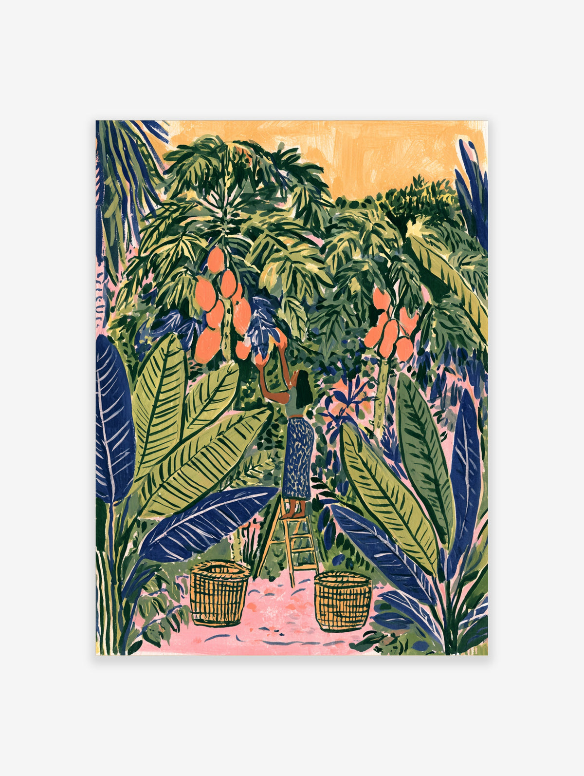 Tropical papaya harvest poster with person on ladder picking orange fruit among green and blue leaves
