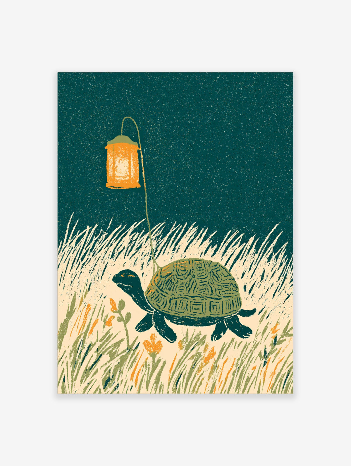Turtle carrying an orange lantern through tall grass under a starry teal night sky, animal illustration print