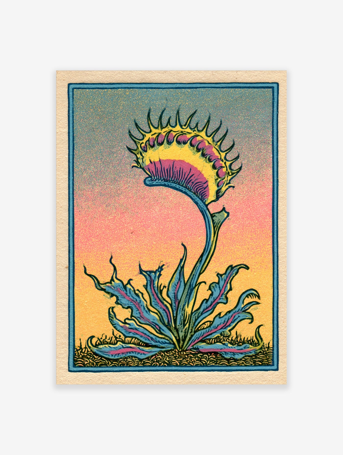 Vintage style botanical illustration of a Venus Flytrap with yellow and pink leaves against a gradient background