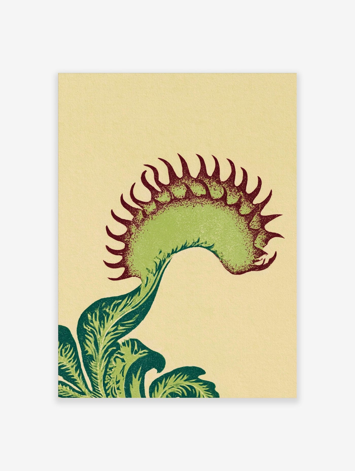 Detailed illustrative Venus Flytrap botanical print with green leaves and reddish spikes on a cream background