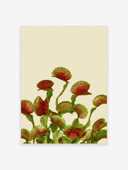 Botanical Venus flytrap plant wall art print with detailed red and green traps on a neutral cream background