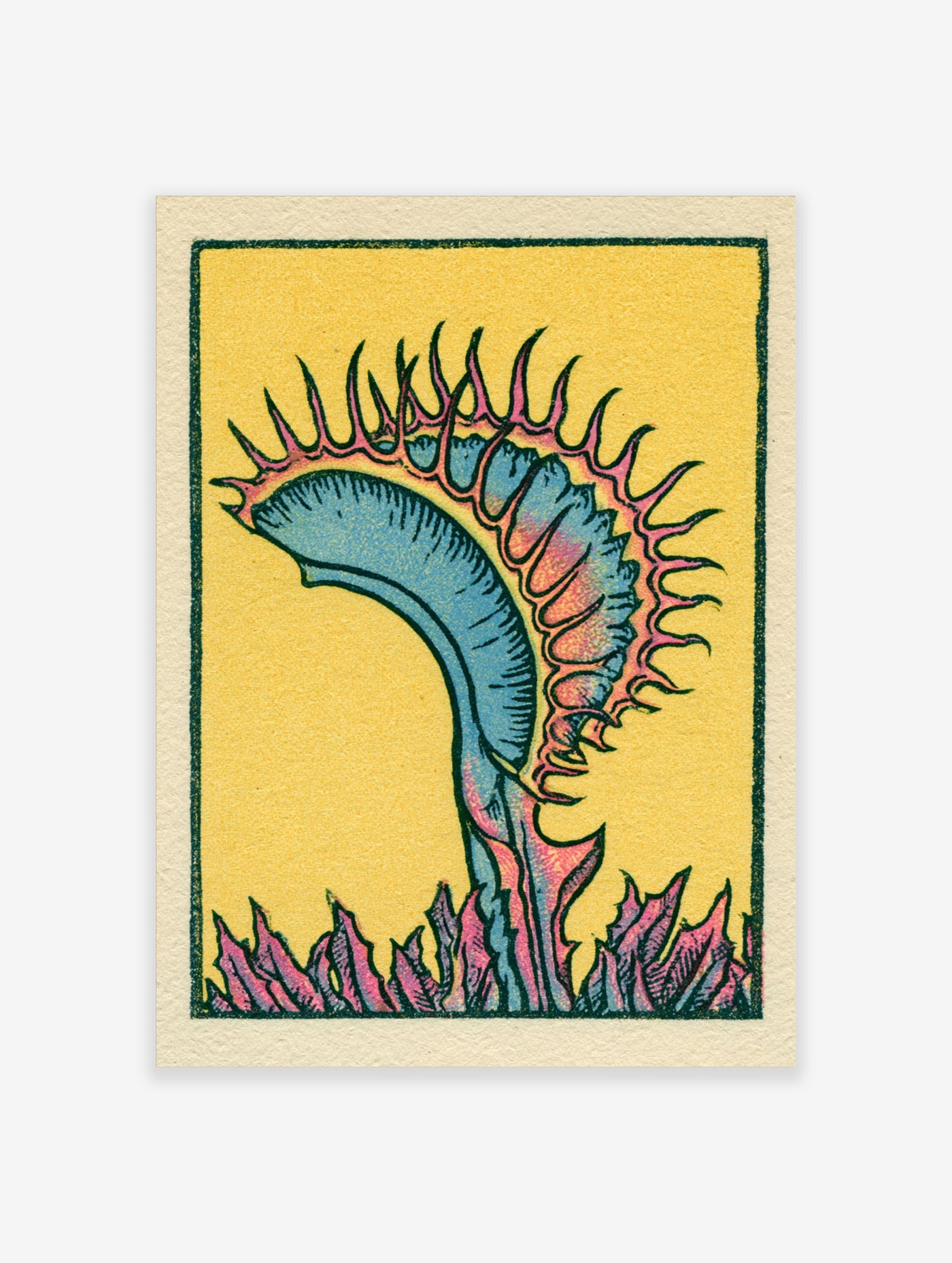Illustrative Venus Flytrap botanical print with blue and pink plant on a bright yellow background