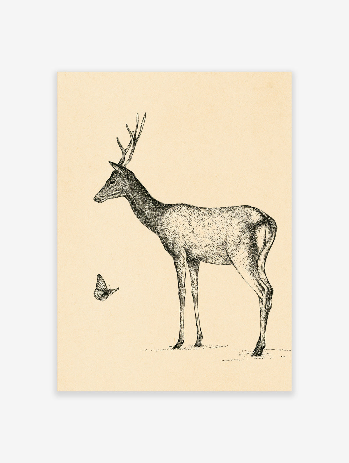 Vintage deer and butterfly sketch art print on cream background