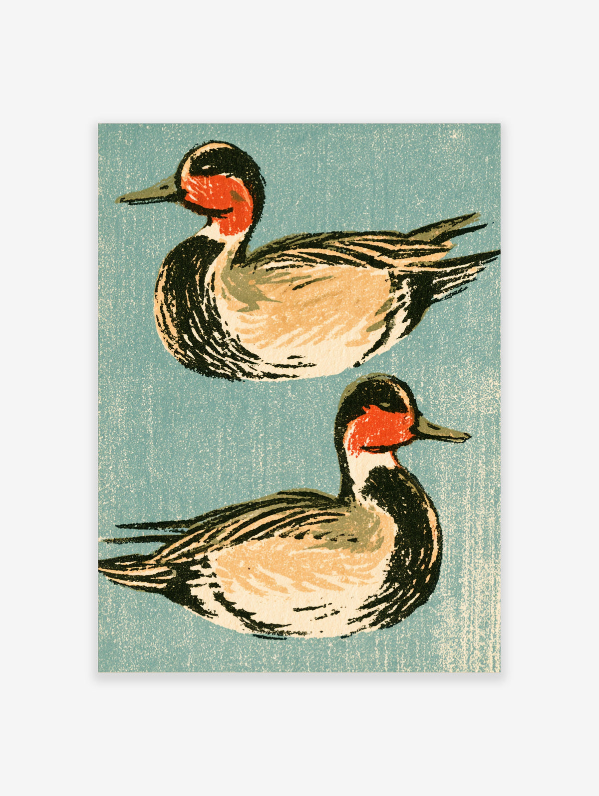 Vintage duck art print with two red-breasted mergansers on a teal background