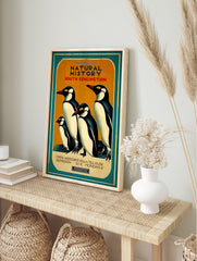 Vintage Natural History Museum poster featuring four illustrated penguins with orange background and teal border - Image 4
