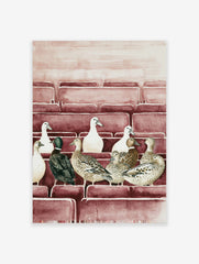 Watercolour illustration of multiple ducks (white, brown, green-headed) sitting in rows on reddish-brown tiered seating