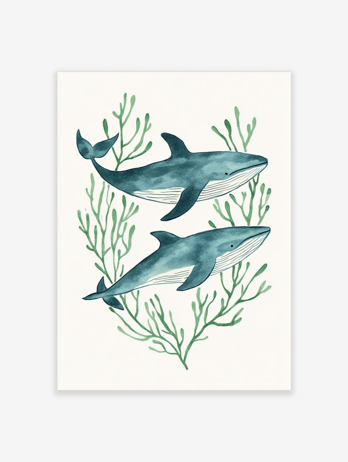 Illustrative watercolor print of two blue whales swimming among green seaweed on a white background