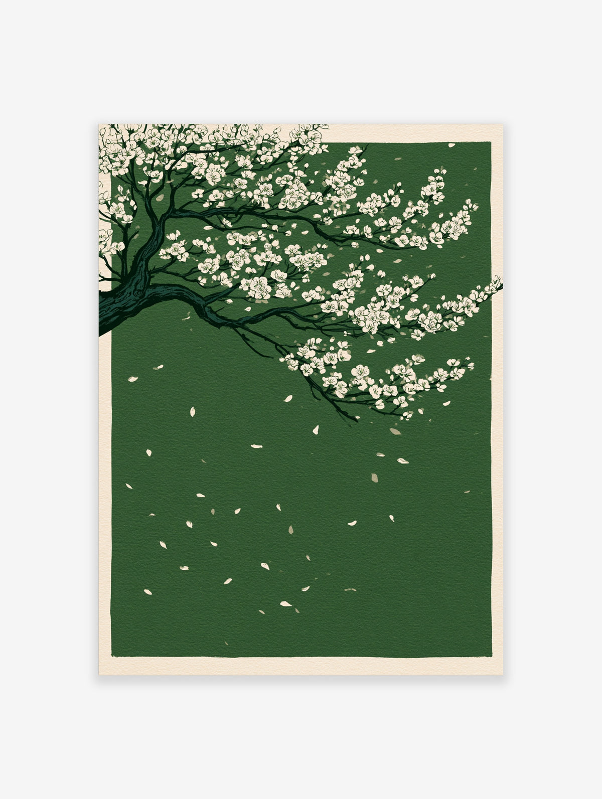White cherry blossom branches with dark limbs and falling petals on a deep green background art print
