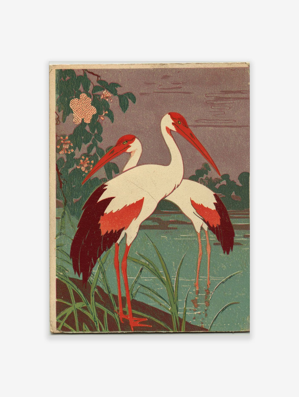 Two white cranes with red heads and wing tips standing in green water with foliage and pink flowers