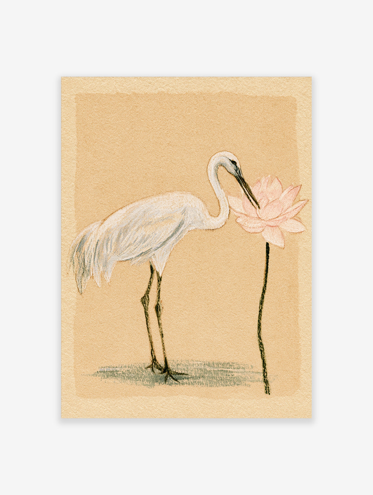 White egret and pink lotus Japanese style illustration on beige background