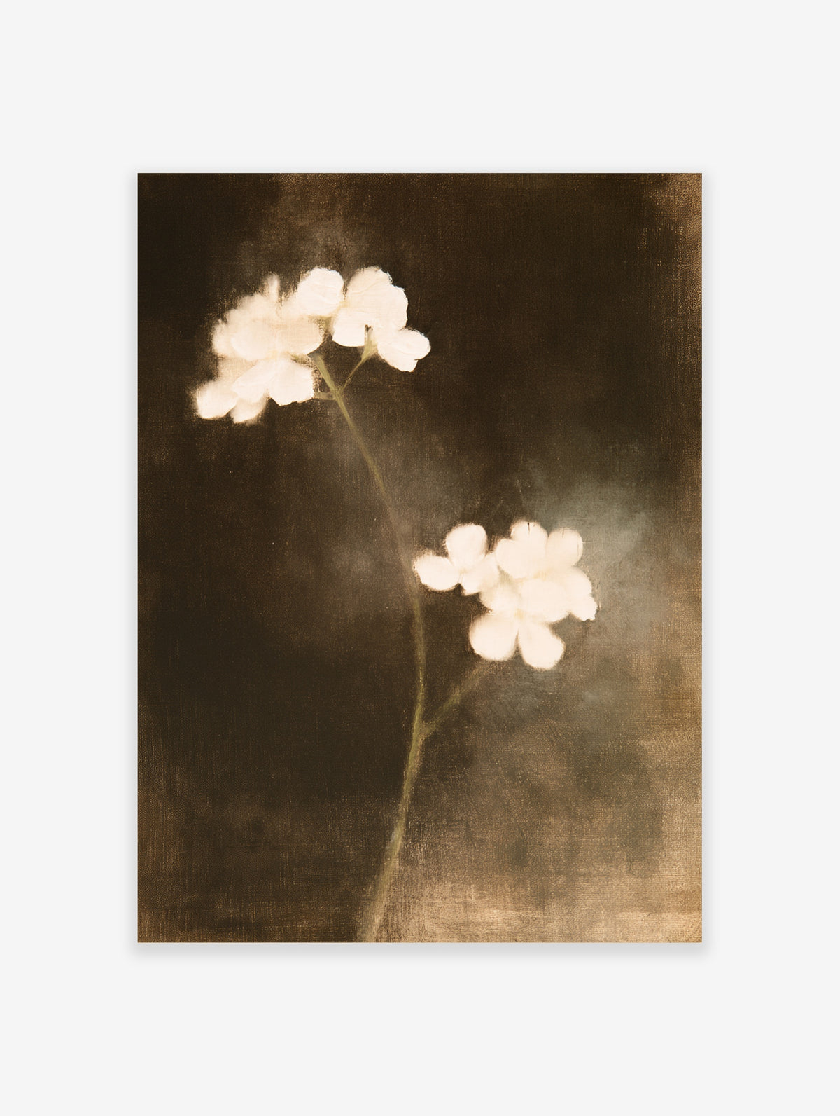 White flower wall art print with blurred blooms on a dark brown background