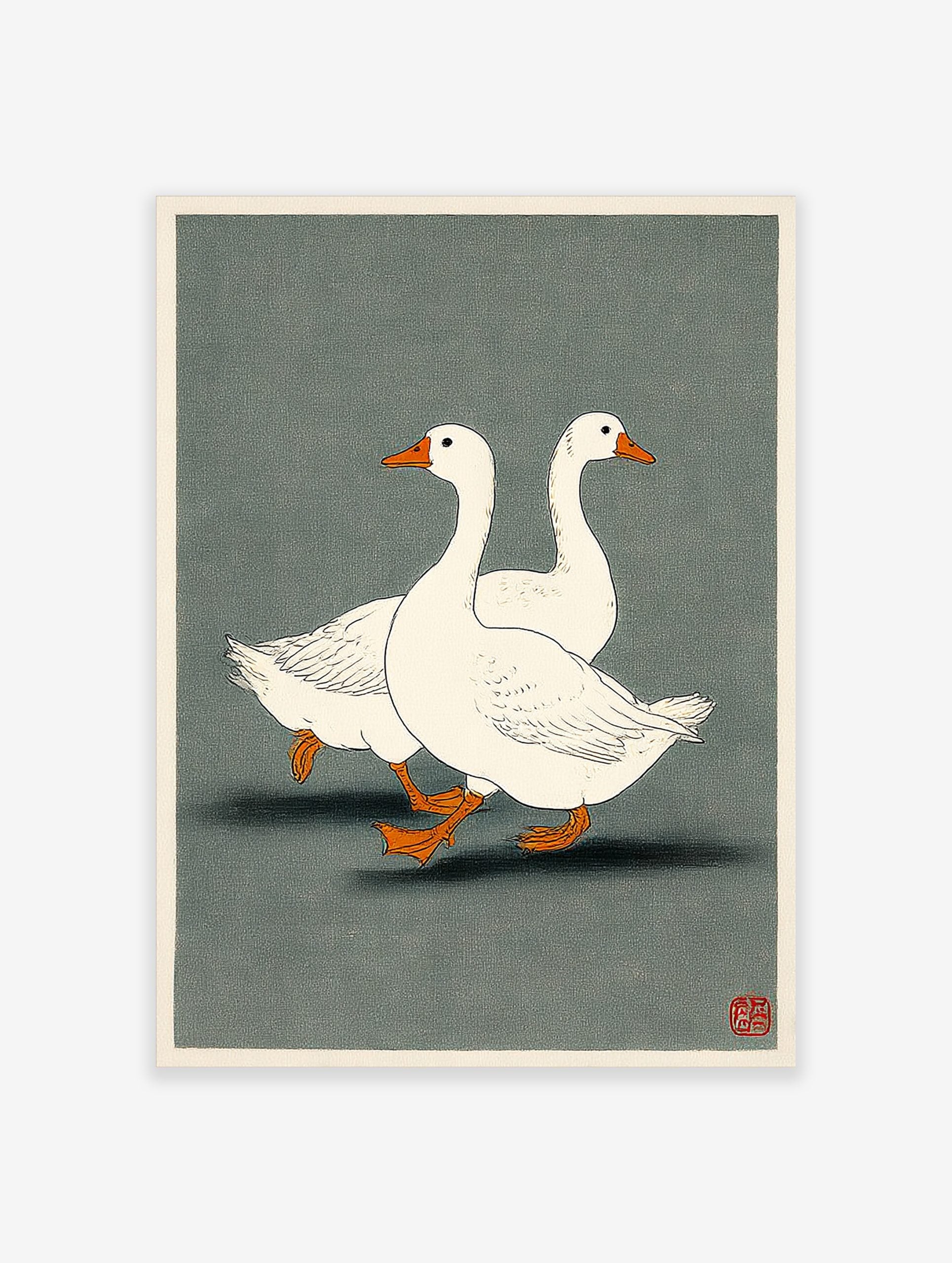 Two white geese with orange beaks and feet walking in profile on a dark grey-green background, illustrative style