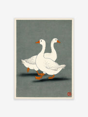 Two white geese with orange beaks and feet walking in profile on a dark grey-green background, illustrative style