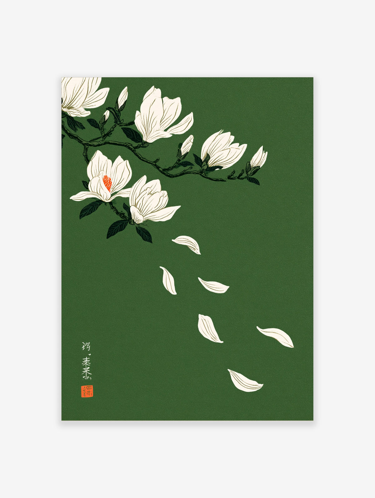 White magnolia flower botanical art print on deep green background with falling petals
