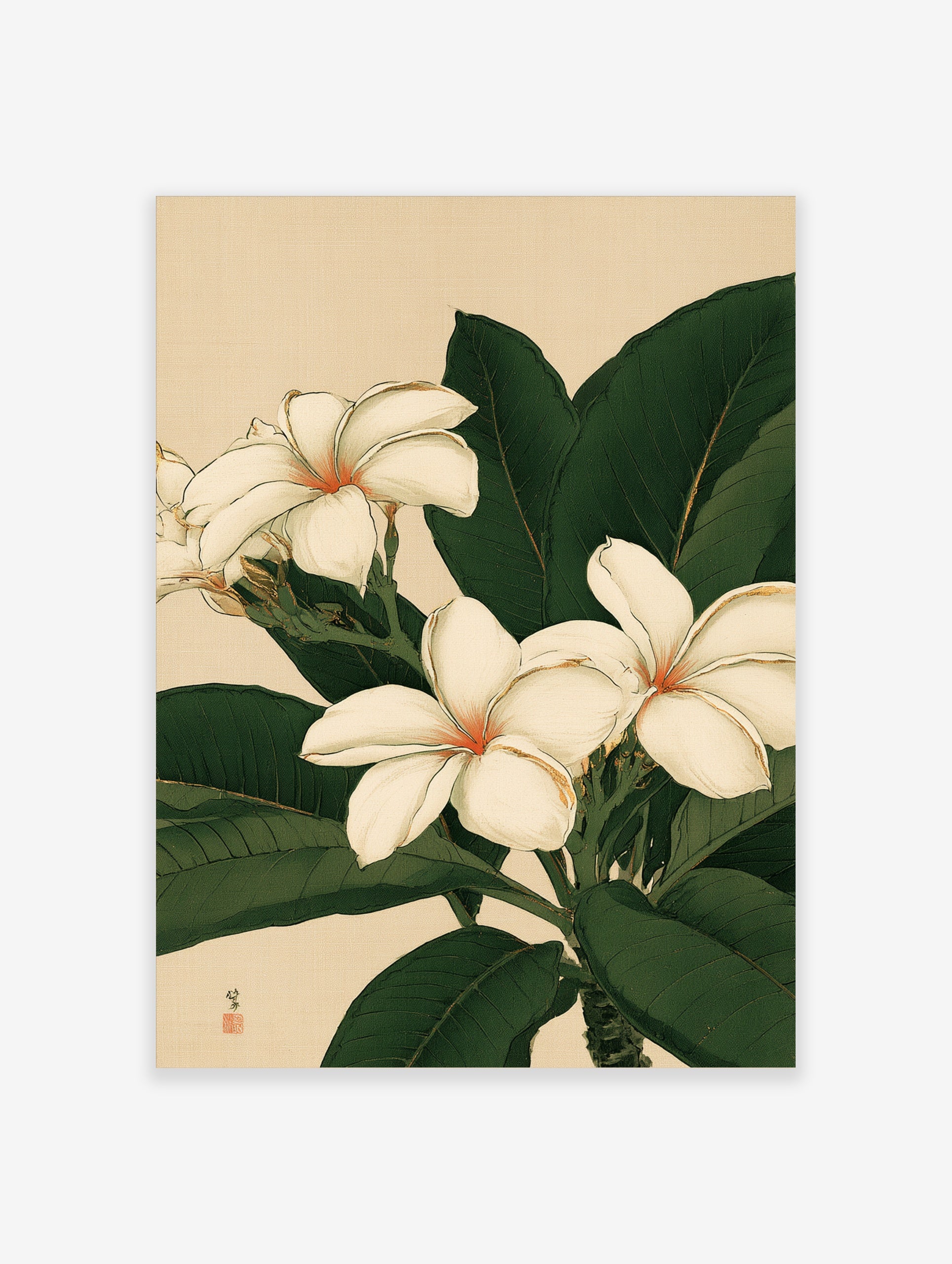 Botanical illustration of white plumeria flowers with green leaves on a neutral background