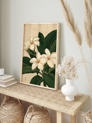 Botanical illustration of white plumeria flowers with green leaves on a neutral background, in an alternate framed mockup