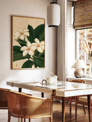 Botanical illustration of white plumeria flowers with green leaves on a neutral background, in a styled room mockup