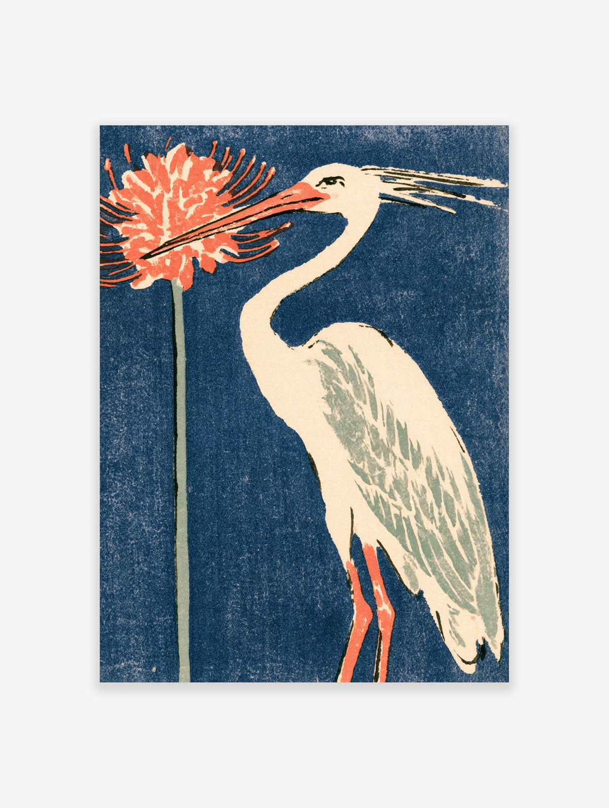 White stork with coral beak beside a protea flower on a blue background, Japanese style bird poster