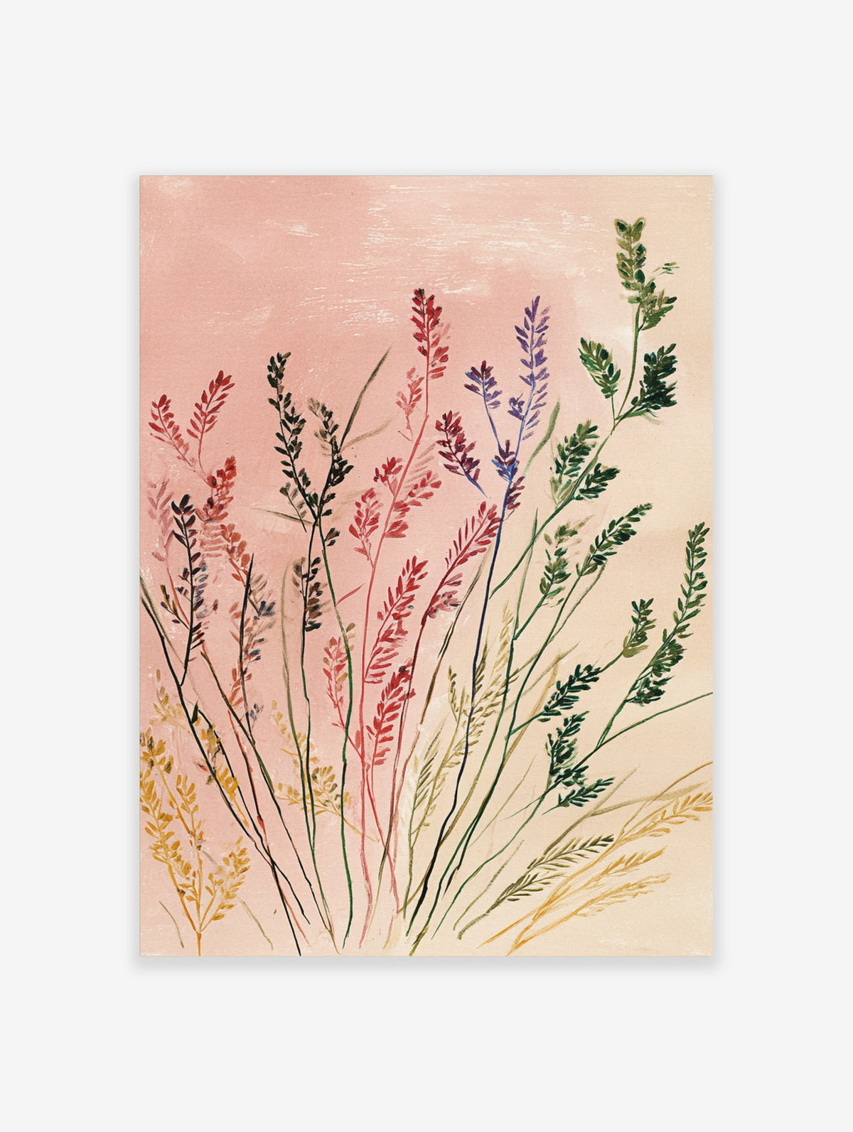 Botanical print of wild grasses in red, purple, green, yellow on pink background