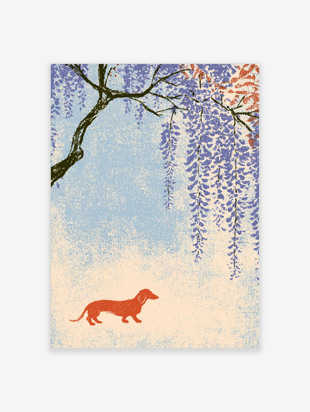 Red dachshund dog under hanging blue wisteria branches on a textured cream and blue background