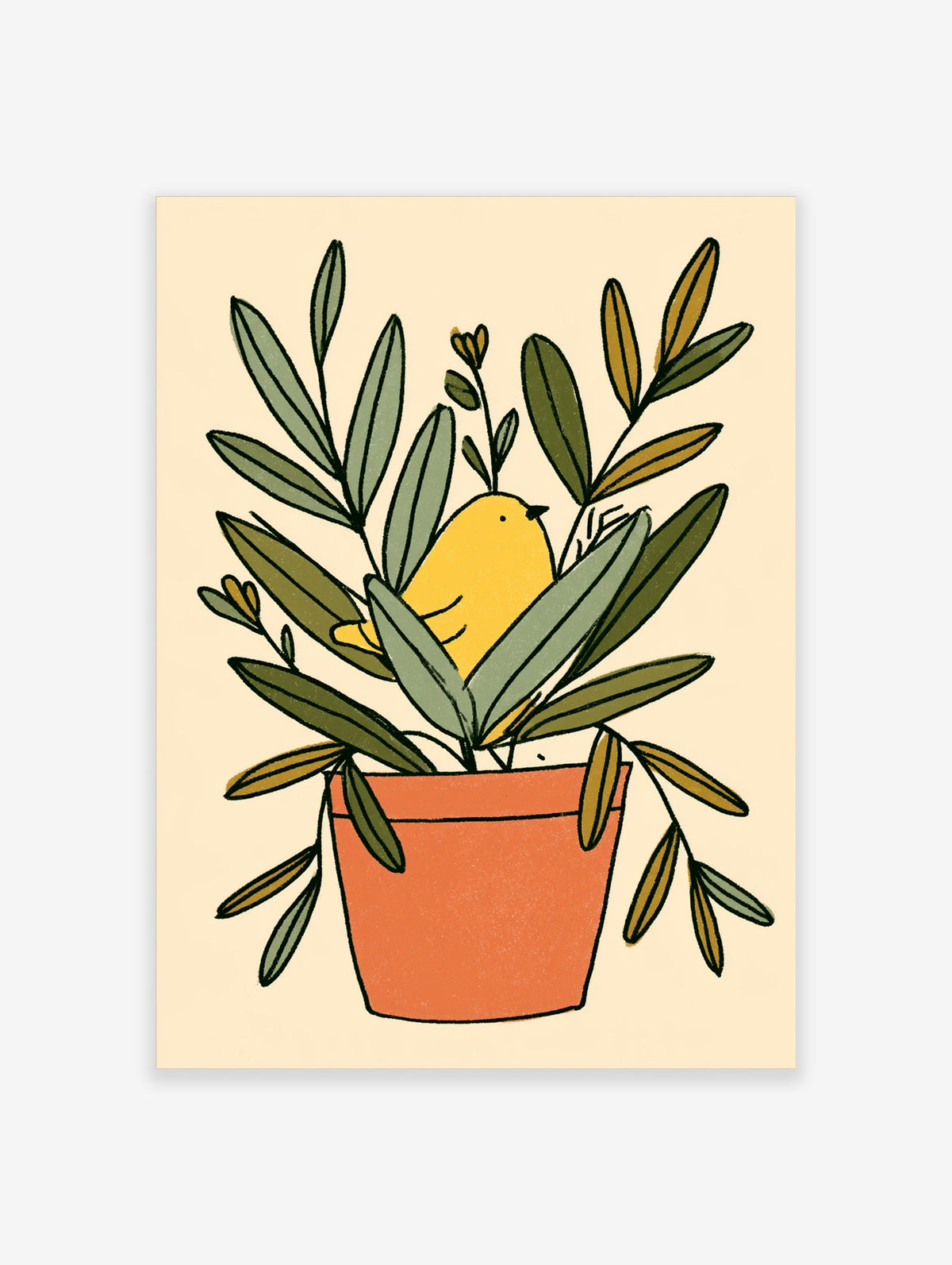 Yellow bird nestled in an olive plant in a terracotta pot, illustrated with green leaves on a cream background