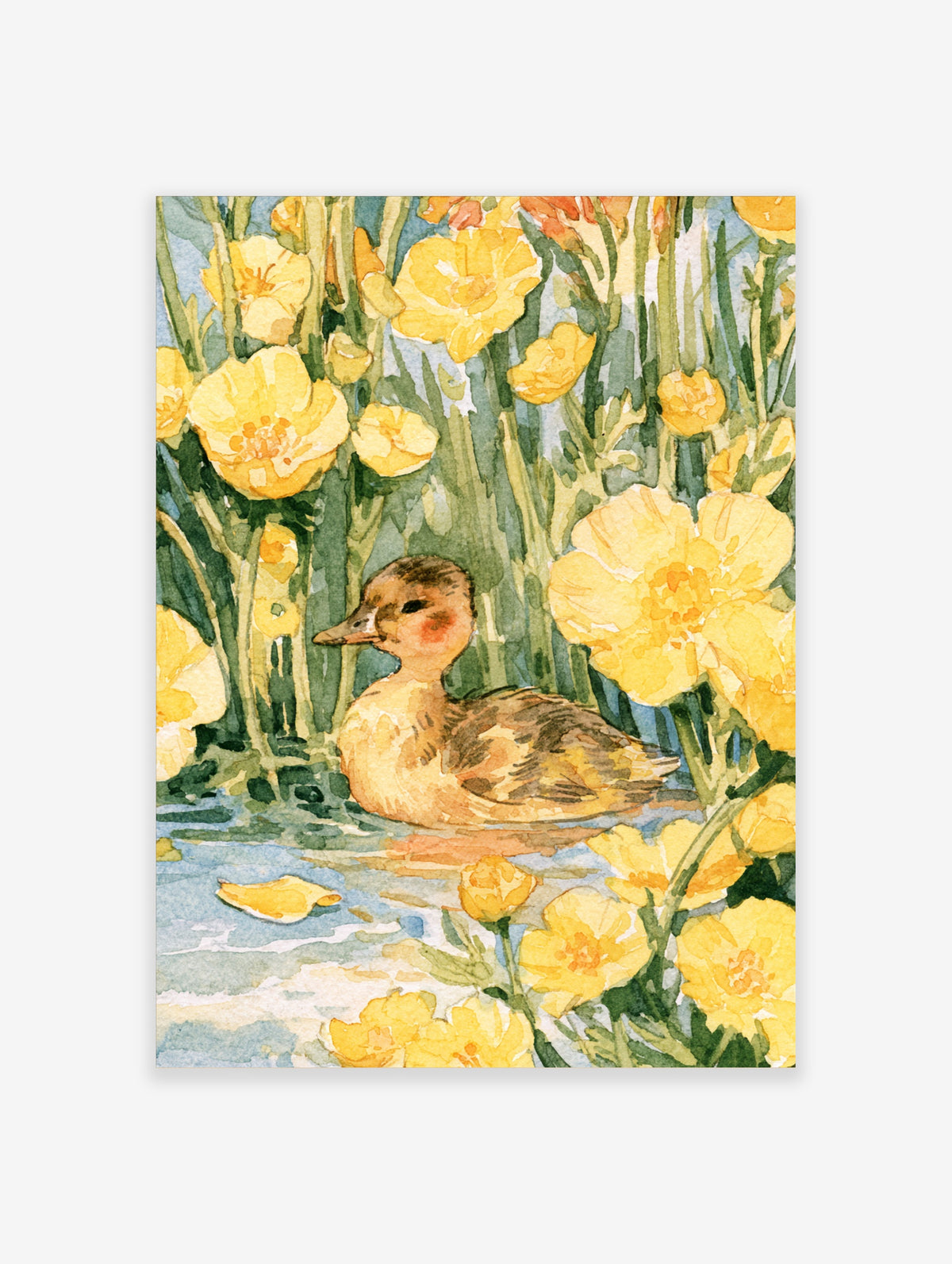 Duckling swimming among yellow water lily flowers and green stems in a watercolour art print