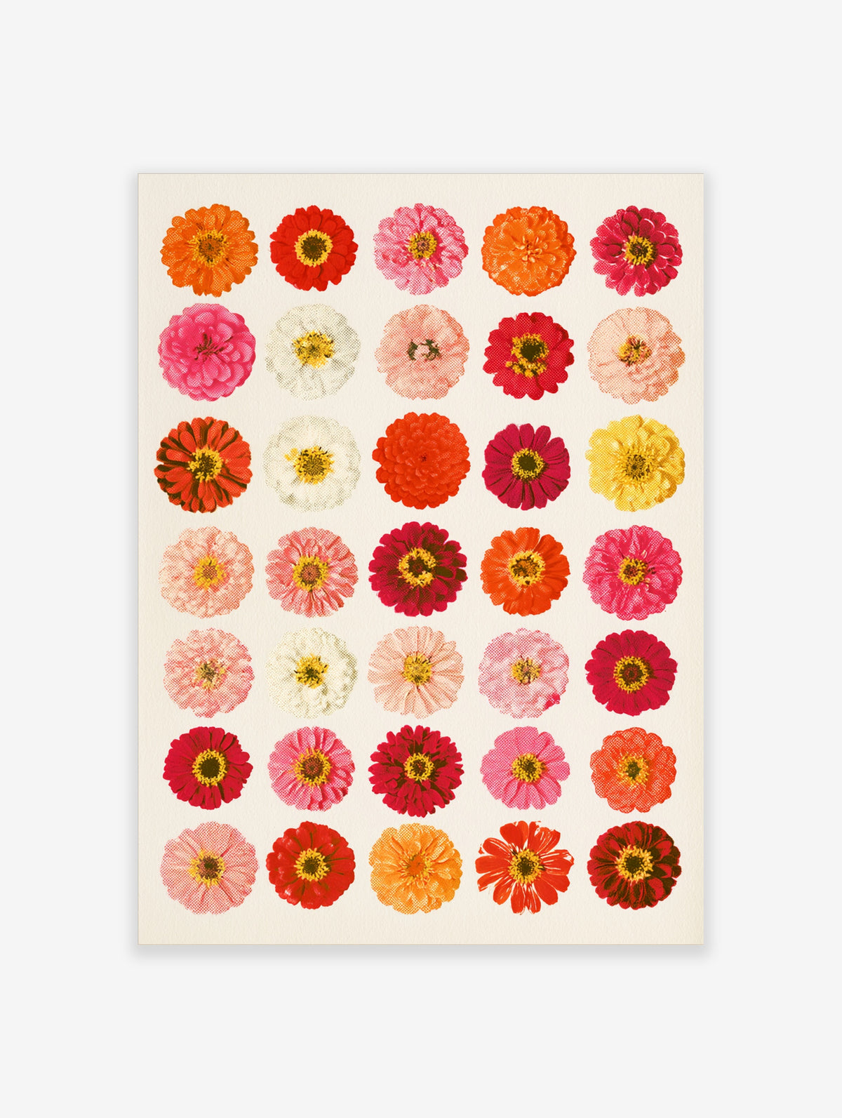 Botanical grid art print featuring thirty colourful zinnia flowers in red, orange, pink, and yellow hues